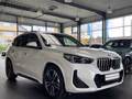 BMW X1 18i sDrive M Sport AHK/PANO/K.Zg/19° - foto 1