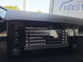 Daumennagel 41 - Skoda Fabia 1,0TSI DSG 5*J.Gar/LED/Winterp/Temp.   **