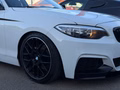 Daumennagel 14 - BMW 228i F22 Coupe/M-SPORT/AUTOMATIK/LEDER/KEYLESS-GO