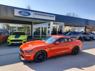 Ford Fastback V8 GT Asch Edition Automatik  V8 GT Aut.  - Auf Lager