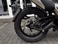 Daumennagel 10 - Triumph Tiger 1200 GT Explorer Aktionspreis!