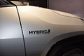 Daumennagel 20 - Toyota RAV 4 RAV4 Hybrid 4x4 Style Selection