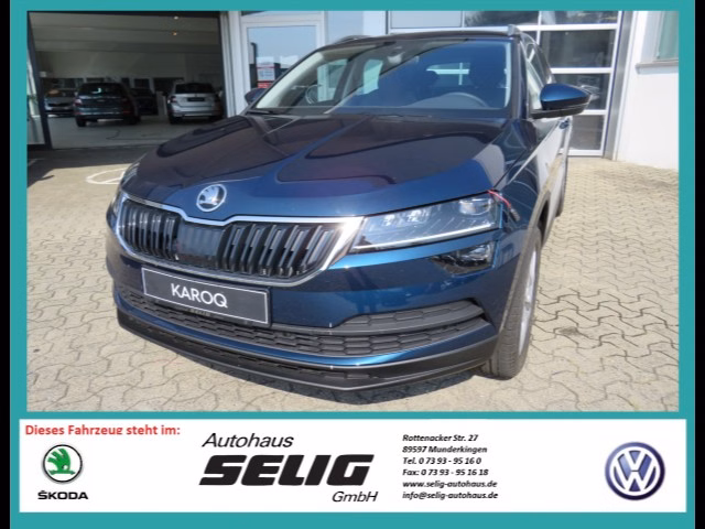 Skoda Karoq 2.0 TDI 4x4 DSG Style, ACC, Navi, LED, AHK, Kamera, ...