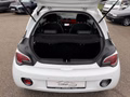 Daumennagel 22 - Opel Adam JAM 1.4*KLIMA*SHZ*LHZ*PDC*ALU*TÜV NEU*