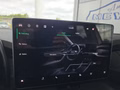 Daumennagel 38 - Skoda Kodiaq 2,0TDI DSG 4x4 aAHK/7-Sitzer/Matrix/Navi/el.Klappe   **