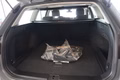 Daumennagel 40 - Volkswagen Passat Variant 1.5 TSI *AHK/CAR-PALY/KAMERA