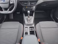Daumennagel 13 - Ford Focus ST-Line X 1.0 155PS Aut. UPE=41700€