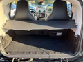 Daumennagel 29 - Smart ForTwo*PRIME*SPORTPAKET*PANO*BRITISH-GREEN*1HAND