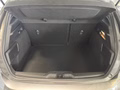 Daumennagel 11 - Ford Focus ST