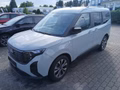 Daumennagel 1 - Ford Tourneo Courier 1.0 EcoBoost Titanium
