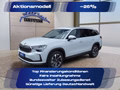 Daumennagel 1 - Skoda Kodiaq 2,0TDI DSG 4x4 aAHK/7-Sitzer/Matrix/Navi/el.Klappe   **