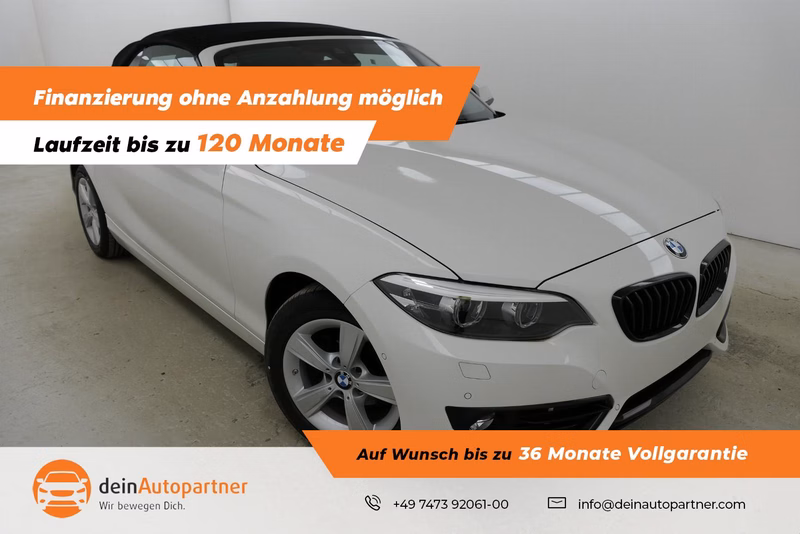 BMW 218i Cabrio Sport Line Leder Navi LED H&K