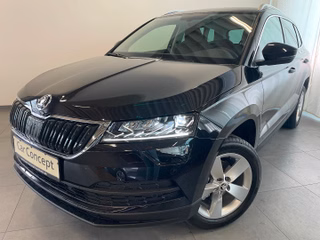 Skoda Karoq age.one-day registration Kaufen