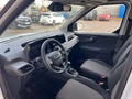 Daumennagel 12 - Ford Tourneo Courier Trend - Fahrer Assist.P - Top