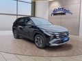 Daumennagel 7 - Hyundai TUCSON 1.6 T-GDI HEV 239PS Navi/LED/Kamera/Keyless