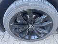 Daumennagel 20 - Volkswagen Tiguan 2.0 TDI R-Line 4Motion*Panorama*AHK