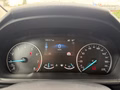 Daumennagel 16 - Ford EcoSport 1.0 EcoBoost Titanium PDC/LED/SZH
