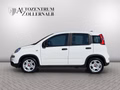 Daumennagel 3 - Fiat Panda 1.0 GSE *1.HAND*WENIG KM*KLIMA*DAB*