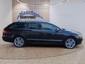 Daumennagel 6 - Skoda Superb Eleg.2,0TDI DSG Pano/Leder/Navi/AHK