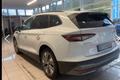 Daumennagel 11 - Skoda Enyaq 60 Loft