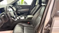 Daumennagel 13 - Land Rover Range Rover Velar R-Dynamic SE