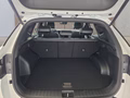 Daumennagel 17 - Hyundai TUCSON 1,6T HEV 4WD N Line UPE=52500 Euro! **