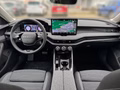 Daumennagel 10 - Skoda Superb Combi 1.5 TSI mHEV 110 kW Selection