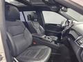 Daumennagel 10 - Mercedes-Benz GLS 350 d 4M, AMG LINE, PANO, 360°,2x TV,7 SITZE