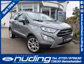 Daumennagel 1 - Ford EcoSport 1.0 EcoBoost Titanium PDC/LED/SZH