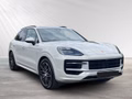 Daumennagel 10 - Porsche Cayenne E-Hybrid