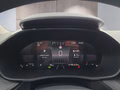 Daumennagel 18 - Skoda Fabia 1,0TSI DSG 2-Z.Klimaaut/Winterp/Temp/LED/Pdc