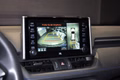 Daumennagel 7 - Toyota RAV 4 RAV4 Hybrid 4x4 Style Selection