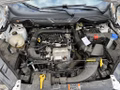 Daumennagel 13 - Ford ECOSPORT 1.0 EcoBoost ST-LINE NAVI LED AHK PCD