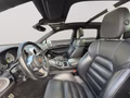 Daumennagel 27 - Porsche Cayenne S E-Hybrid Platnum Edition NAVI/LEDER/PANO/BI-XENON/RFK/LUFT