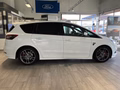 Daumennagel 5 - Ford S-MAX ST-Line