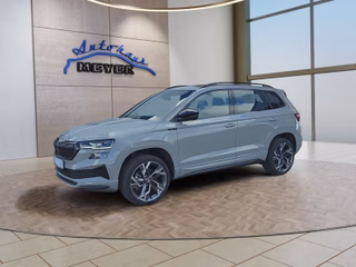 Skoda Karoq age.one-day registration Kaufen