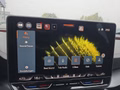 Daumennagel 30 - CUPRA Formentor 1.5 eTSI DSG Navi/Leder/ACC/Kamera/el.Klappe  **