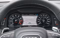 Daumennagel 28 - Audi RSQ8 PERF./EXCLUSIVE/SAGA/MASSA/KERAM./ 23ZOLL/AHK