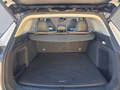 Daumennagel 17 - BAIC Baic Beijing X55 Luxury 19*Alu/Pano/Leder/el.Klappe   **