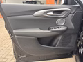 Daumennagel 37 - Alfa Romeo Tonale Intensa Ibrida 1.5 VGT MHEV 20 Zoll