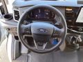 Daumennagel 9 - Ford Transit 350 L4H3 Lkw HA Trend Trennwand Metall