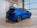 Daumennagel 5 - Ford Kuga ST-Line 2,5 FHEV 180PS 5*J.Gar/LED/Navi/Winterp.  **
