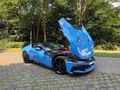 Daumennagel 11 - Ferrari 12 Cilindri  Azzurro le Castellet PaintedShields