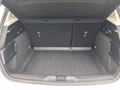 Daumennagel 19 - Ford Focus Active