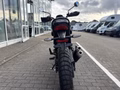 Daumennagel 9 - Triumph Scrambler 400XC NEU! Sofort Verfügbar