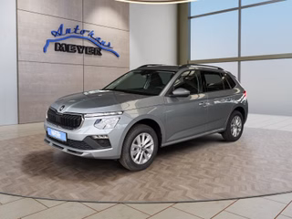 Skoda Kamiq age.one-day registration Kaufen