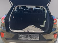 Daumennagel 10 - Ford Puma Titanium