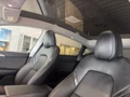 Daumennagel 25 - Tesla Model Y Long Range RWD