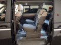 Daumennagel 12 - Volkswagen T7 Multivan Style AHK/PANO/STNDHZNG/ACC/CARPLAY