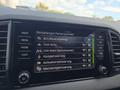 Daumennagel 45 - Skoda Karoq 1,5TSI DSG 18*Alu/aAHK/ACC/Kamera/Winterp.       **